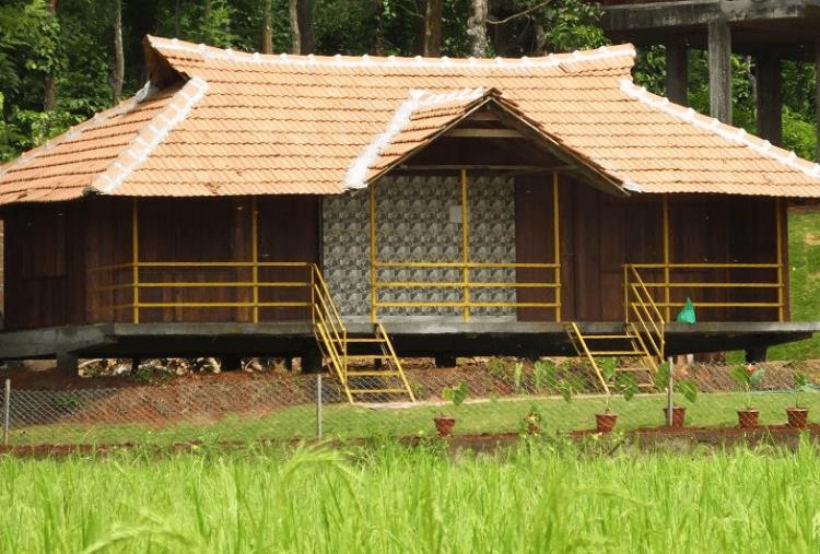 Pepper Green Wayanad Resort With Swimming Pool Kattikkulam Eksteriør billede